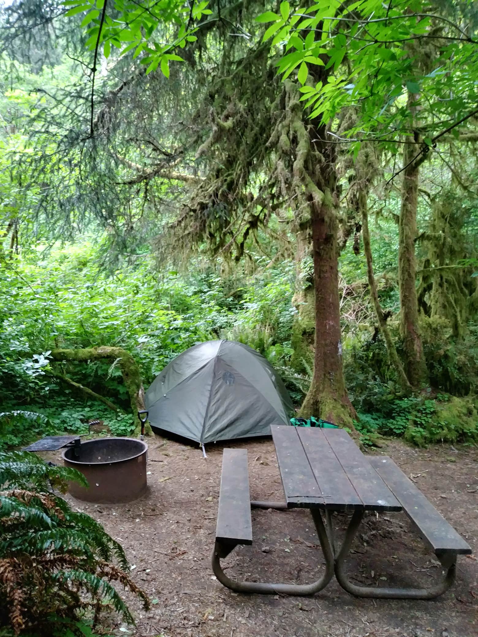 Deanna F.'s photo at Cape Perpetua near Waldport, OR