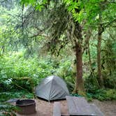 Review photo of Cape Perpetua by Deanna F., June 19, 2018