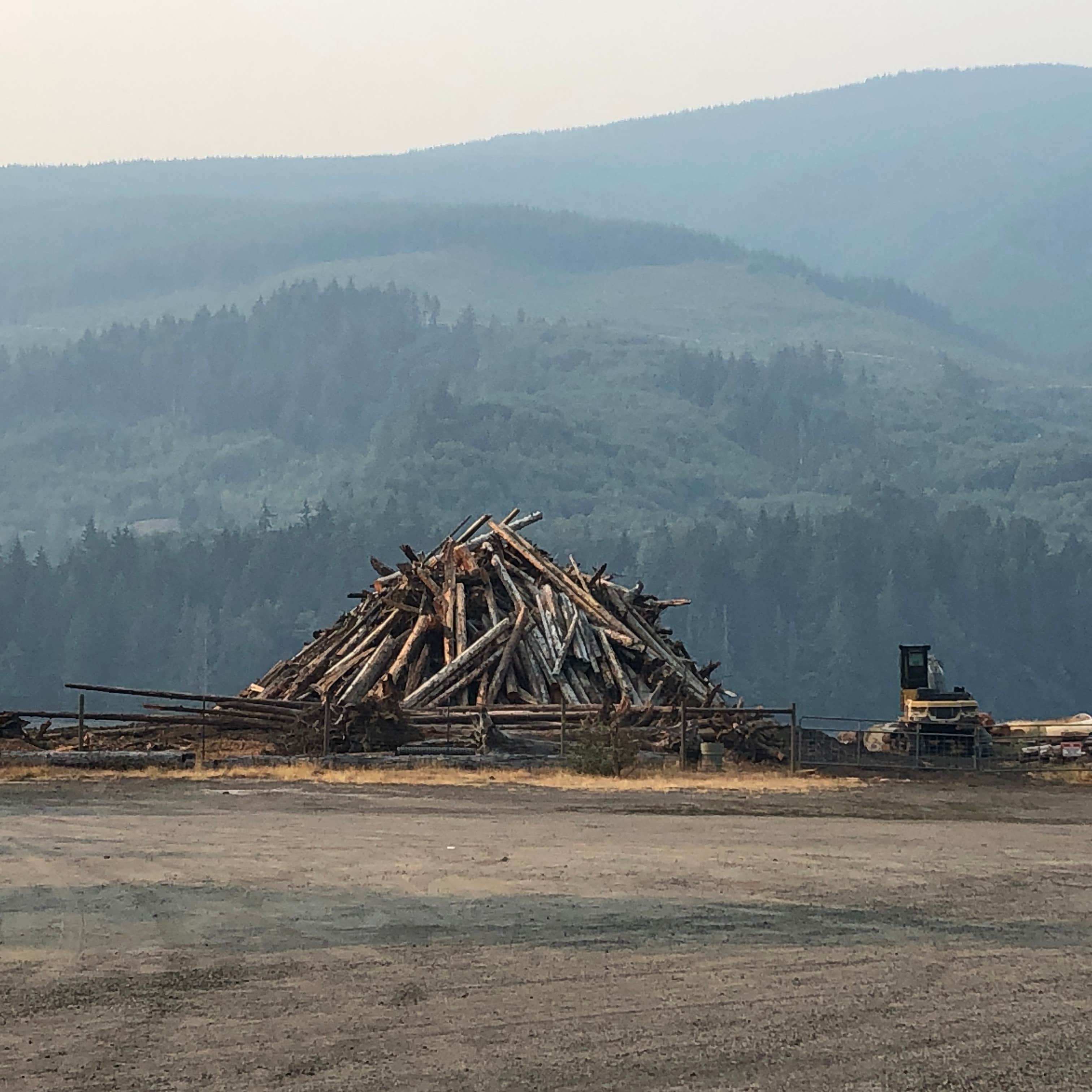 Swift Forest Camp Cougar, Washington