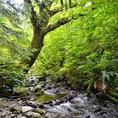 Review photo of Cape Perpetua by Deanna F., June 19, 2018