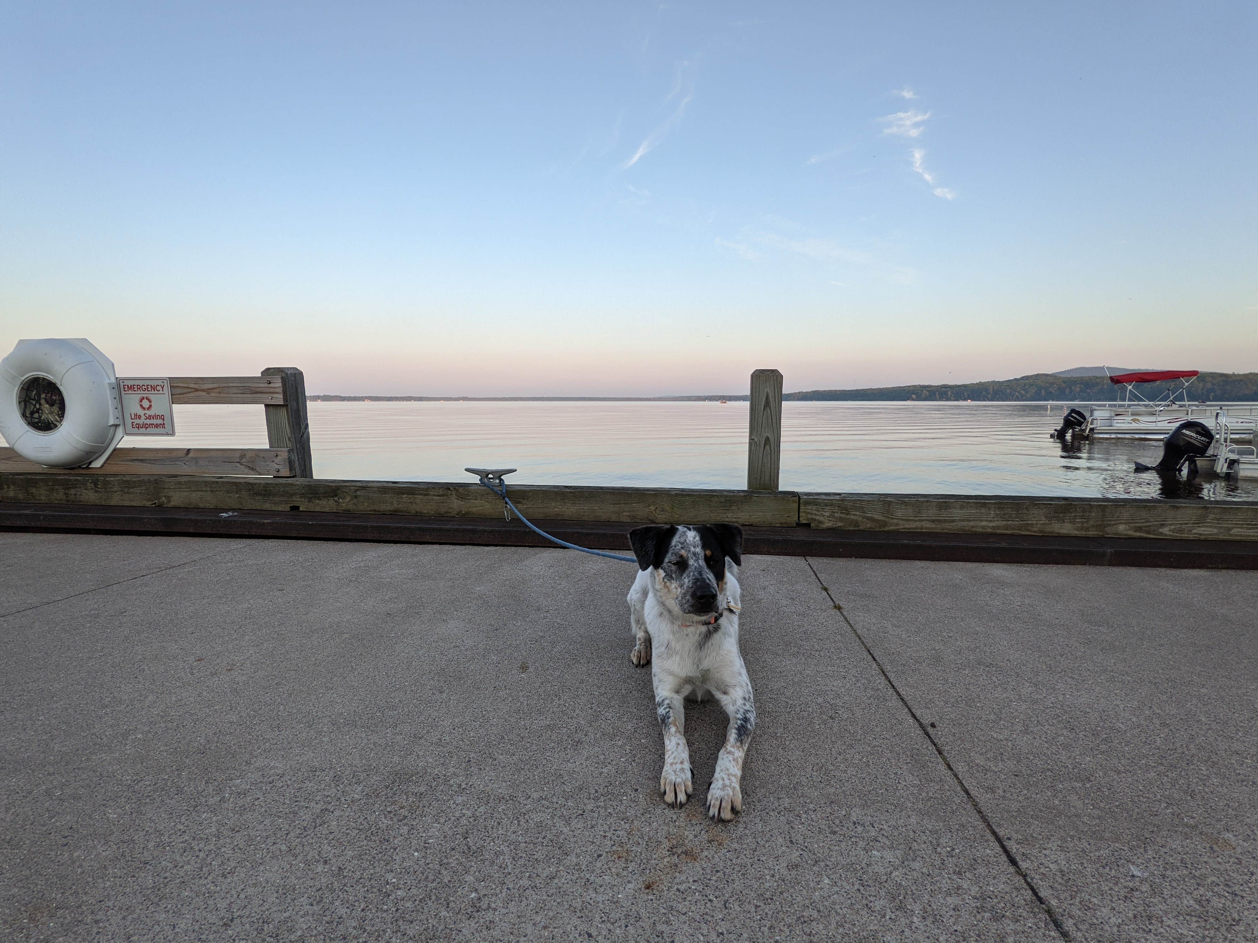 Katie M.'s photo of camping with pets at Perkins Park & Campground near Eagle Harbor, MI