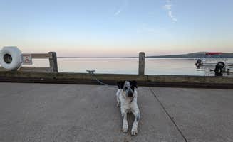 Katie M.'s photo of camping with pets at Perkins Park & Campground near Copper Harbor, MI