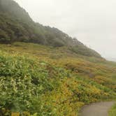 Review photo of Cape Perpetua by Deanna F., June 19, 2018