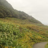 Review photo of Cape Perpetua by Deanna F., June 19, 2018
