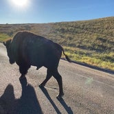 Review photo of Cottonwood Campground — Theodore Roosevelt National Park by Hannah S., August 14, 2021