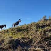 Review photo of Cottonwood Campground — Theodore Roosevelt National Park by Hannah S., August 14, 2021