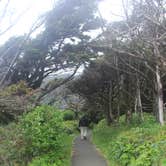 Review photo of Cape Perpetua by Deanna F., June 19, 2018