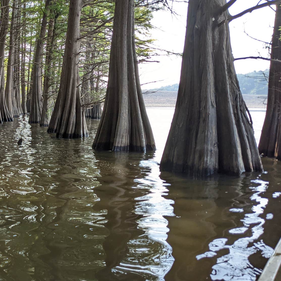 Waveland Park The Dyrt