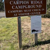 Review photo of Carpios Ridge Campground — Trinidad Lake State Park by Debbie J., August 14, 2021