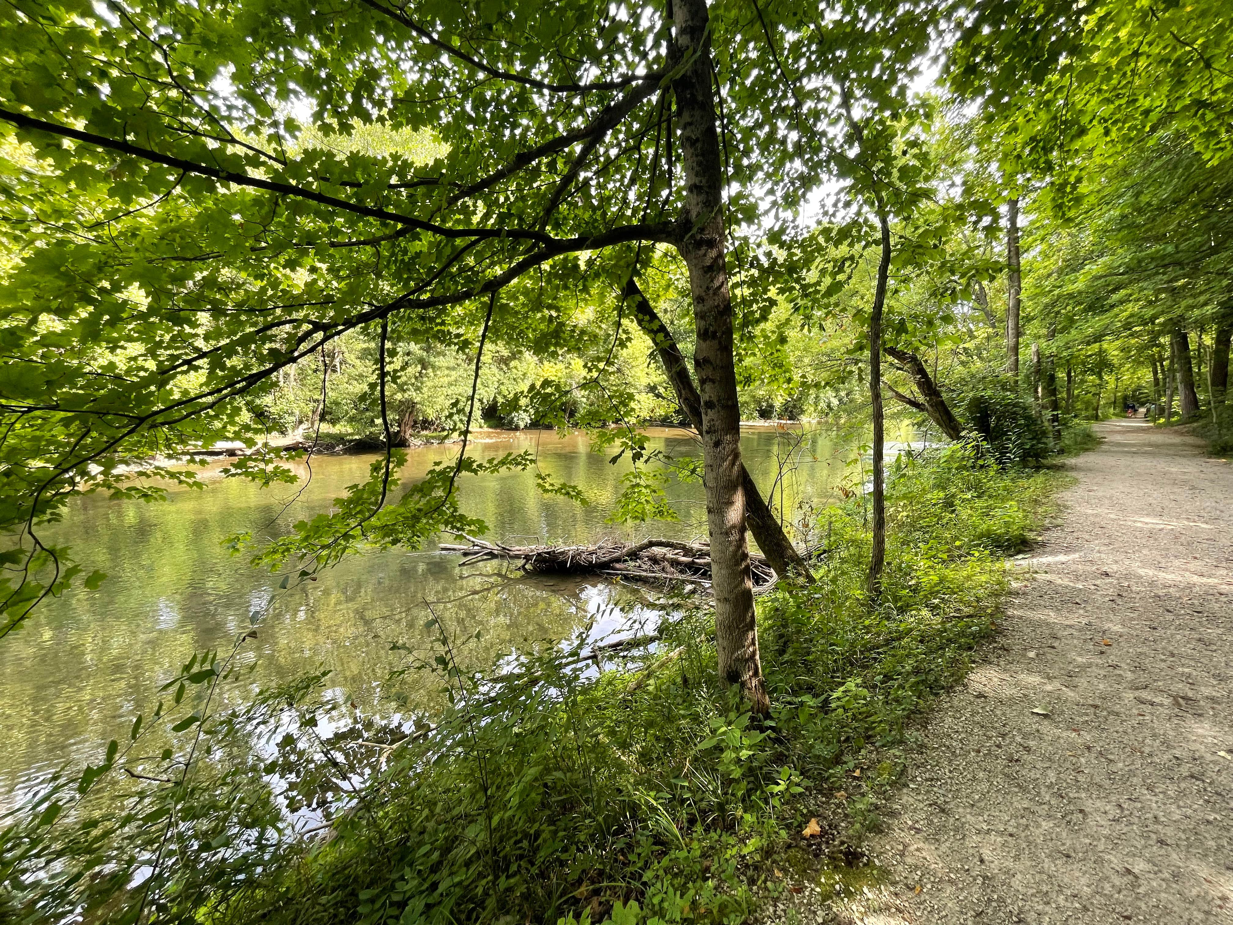 Camper submitted image from Mounds State Park Campground - 5