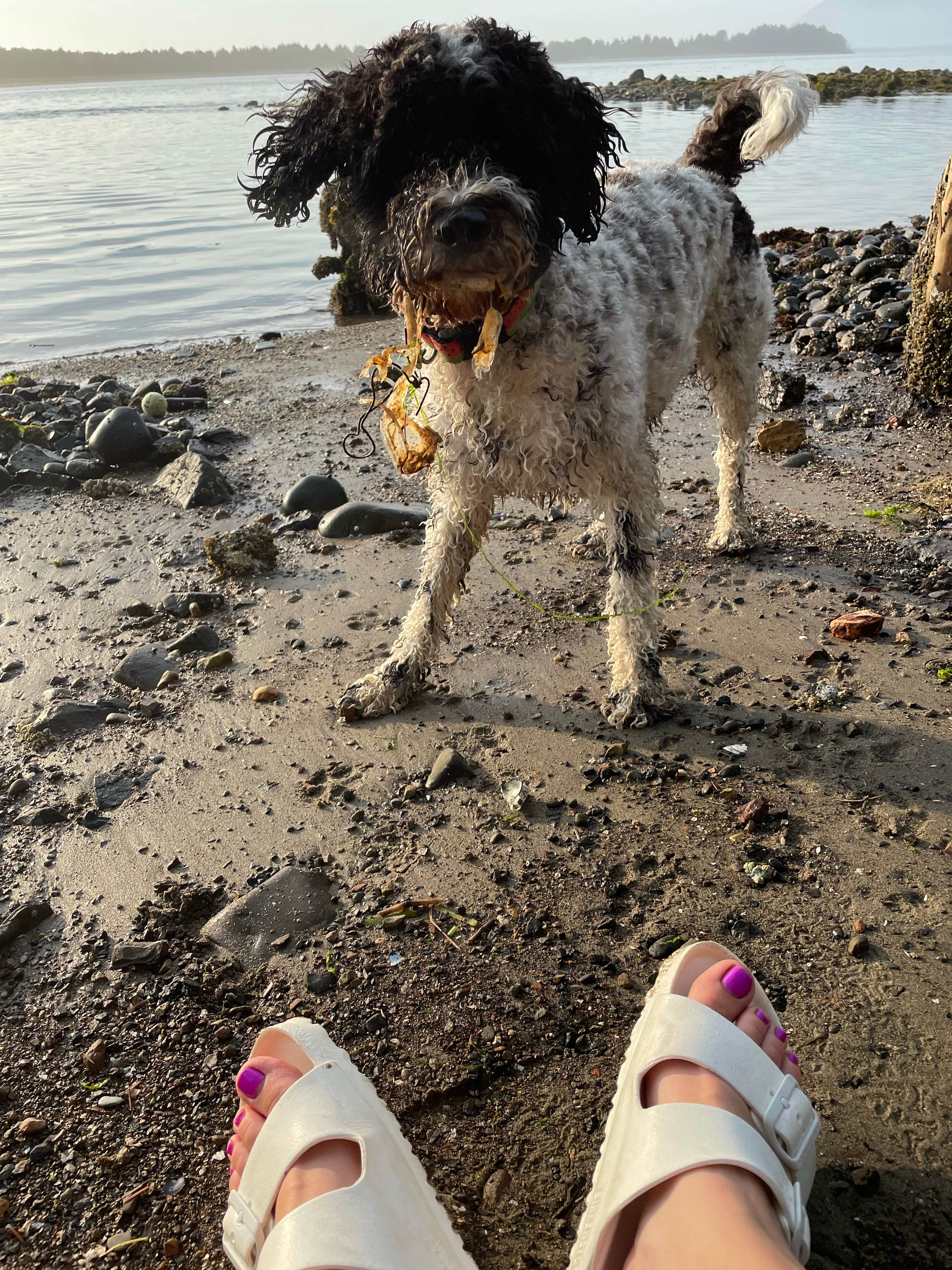 Jenn M.'s photo of camping with pets at Jetty Fishery Marina & RV Park near Cannon Beach, OR