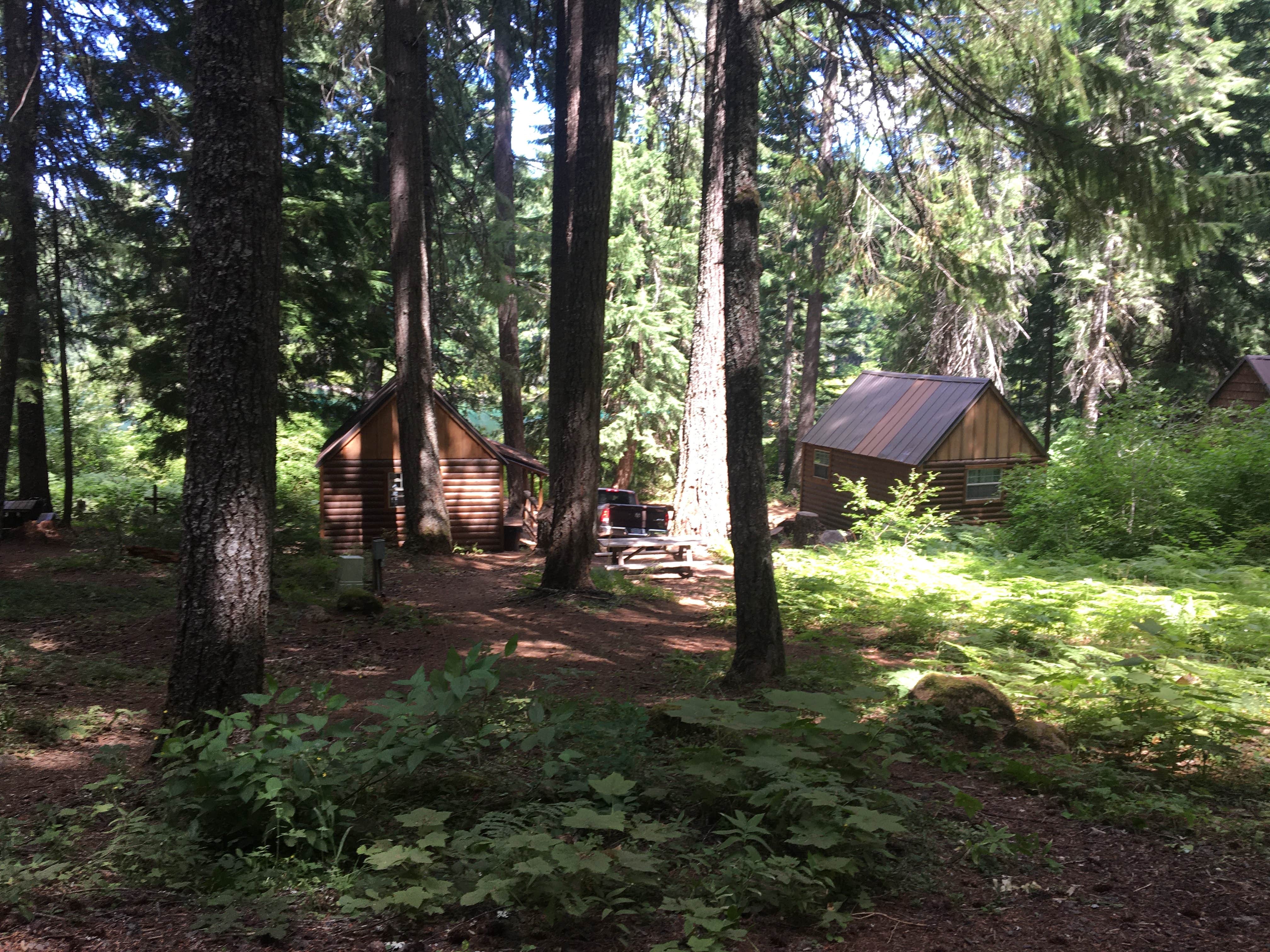 Jenn M.'s photo of a cabin at Clear Lake Resort near Terrebonne, OR