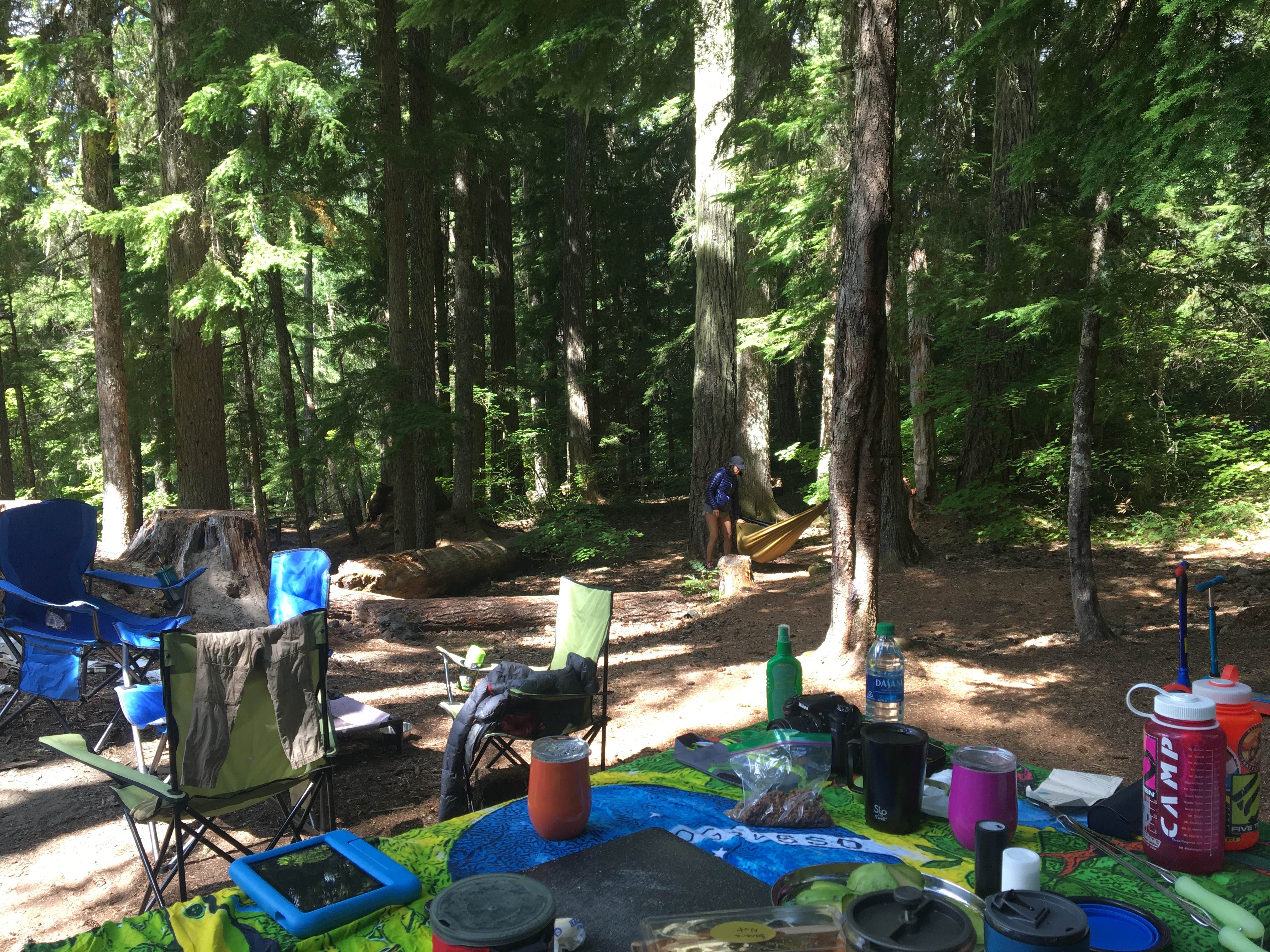 Camper submitted image from Coldwater Cove Campground - 4