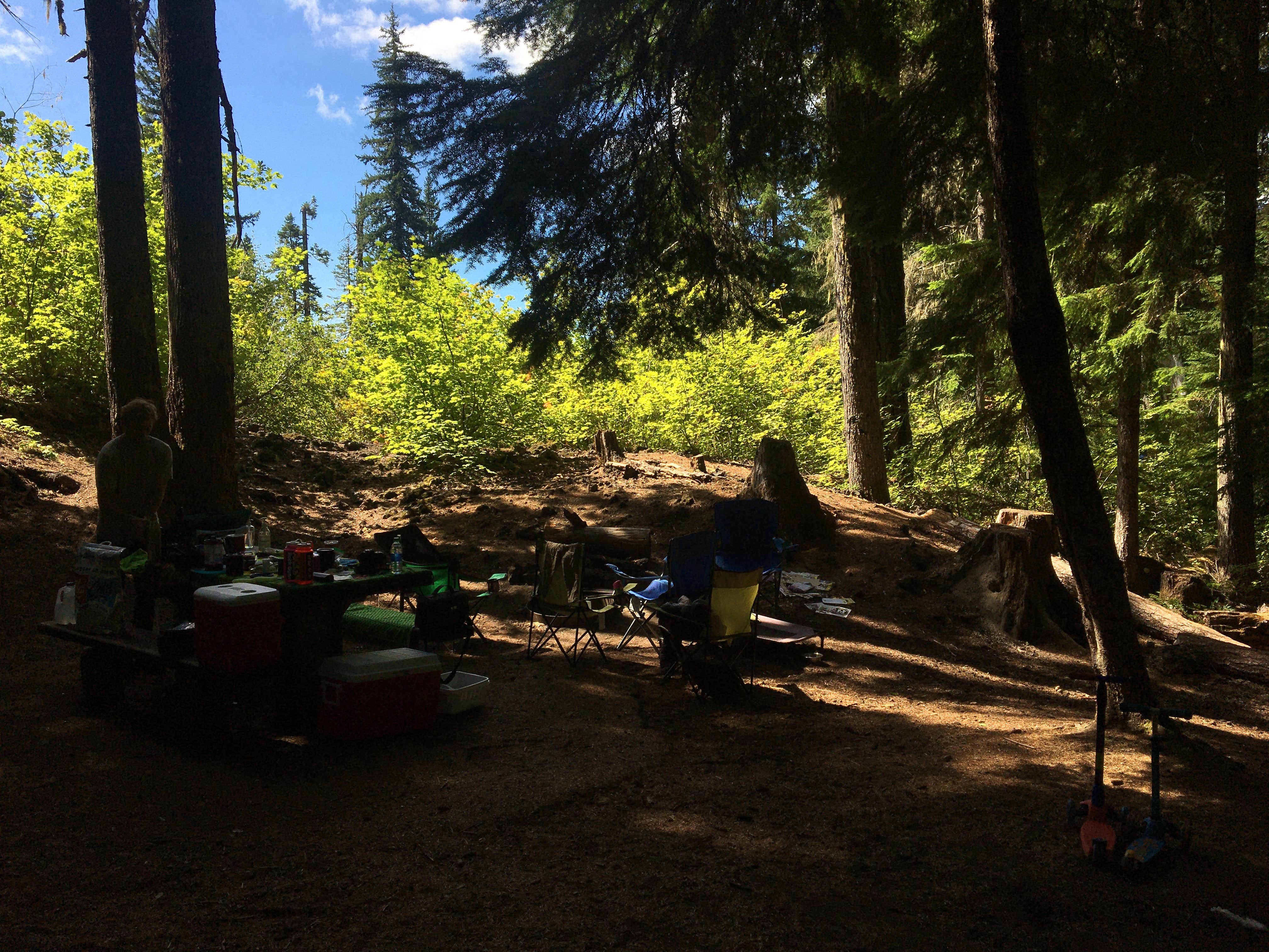 Camper submitted image from Coldwater Cove Campground - 3