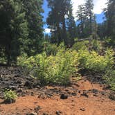 Review photo of Coldwater Cove Campground by Jenn M., August 15, 2021