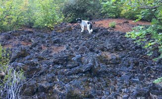 Jenn M.'s photo of camping with pets at Coldwater Cove Campground near Cascadia, OR