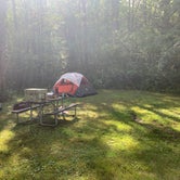 Review photo of Cayuga Lake State Park Campground by Jeremy T., August 15, 2021
