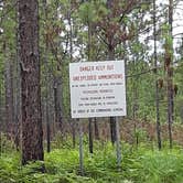 Review photo of Hunters Camp - Calcasieu Ranger District by Paula W., June 18, 2018