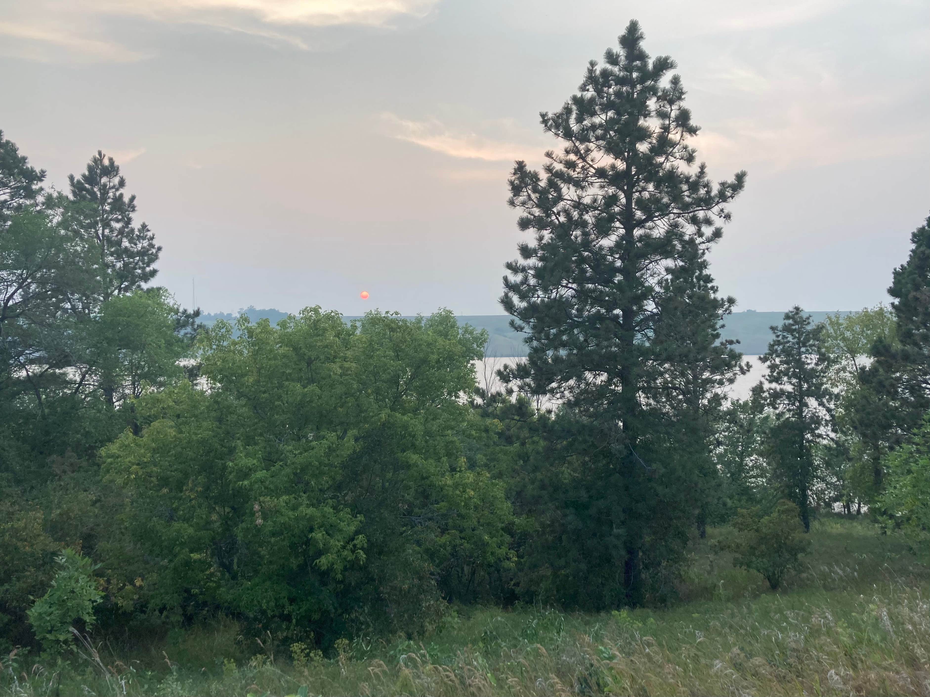 Camper submitted image from Mel Rieman Rec - 2