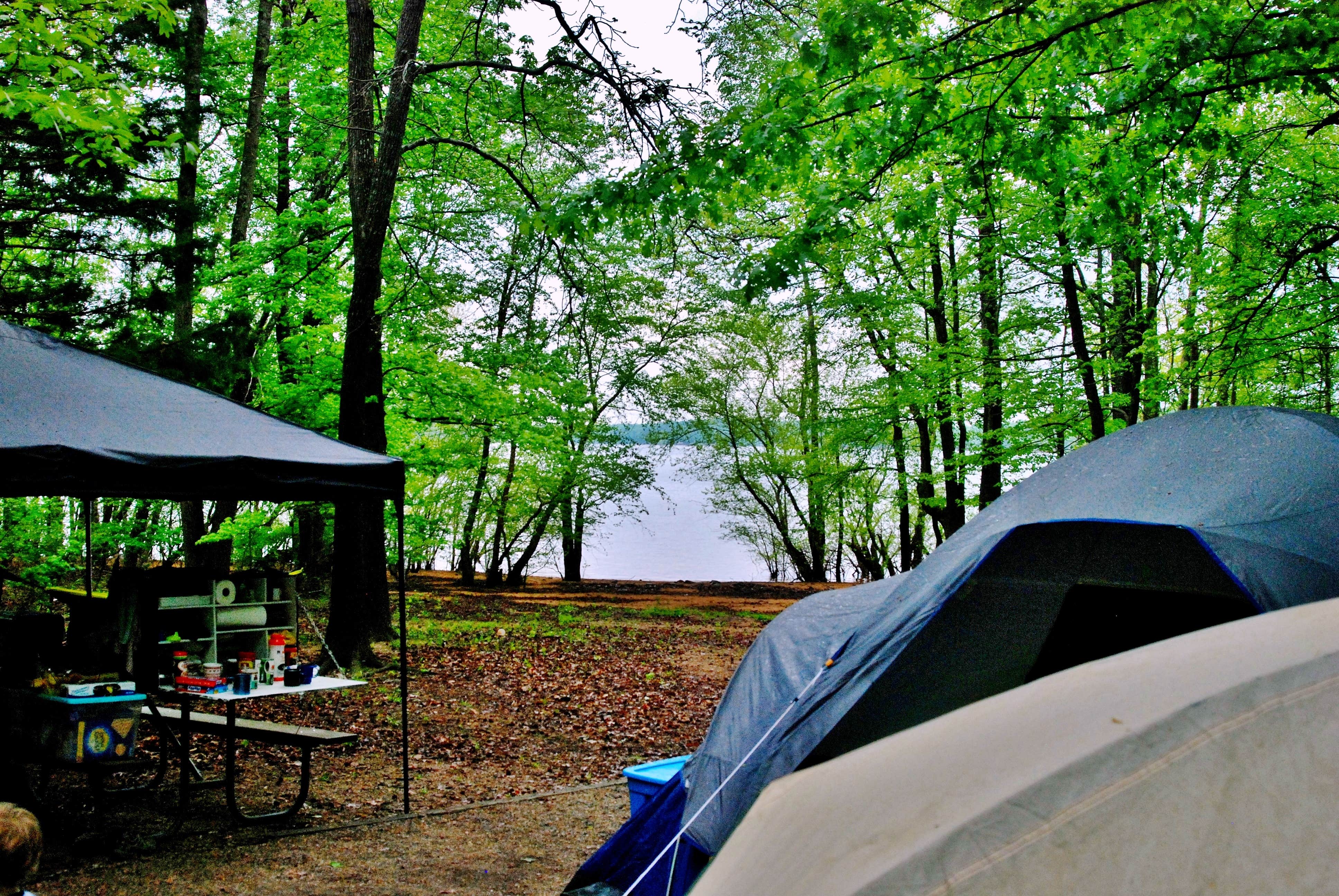 Myron C.'s photo at J.C. Cooper Campground — Kerr Lake State Recreation Area near John H. Kerr Dam and Reservoir