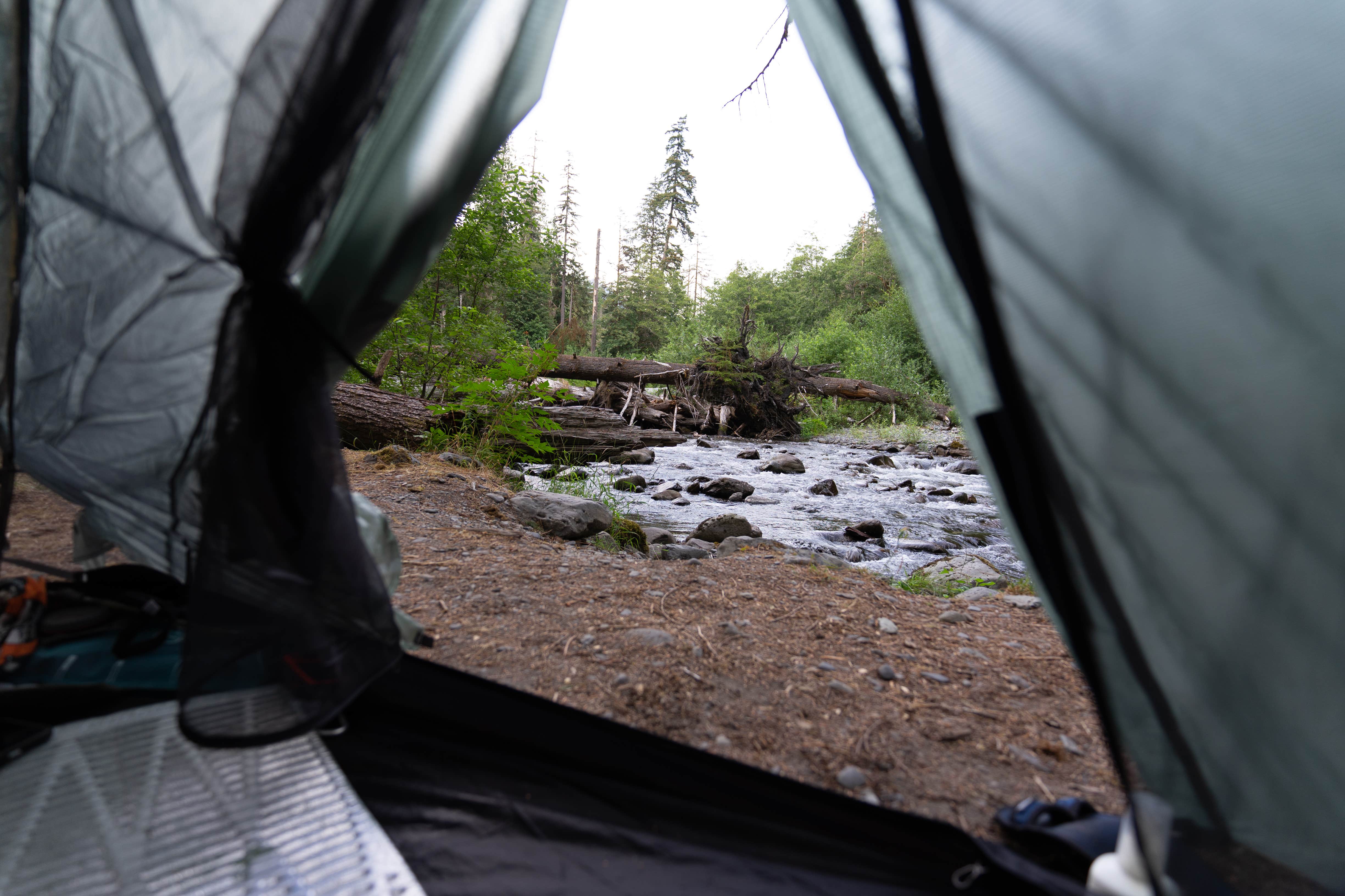 Camper submitted image from Camp Pleasant — Olympic National Park - 4