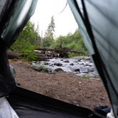 Review photo of Camp Pleasant — Olympic National Park by Graham C., August 15, 2021
