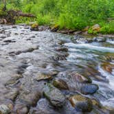 Review photo of Camp Pleasant — Olympic National Park by Graham C., August 15, 2021