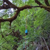 Review photo of Camp Pleasant — Olympic National Park by Graham C., August 15, 2021