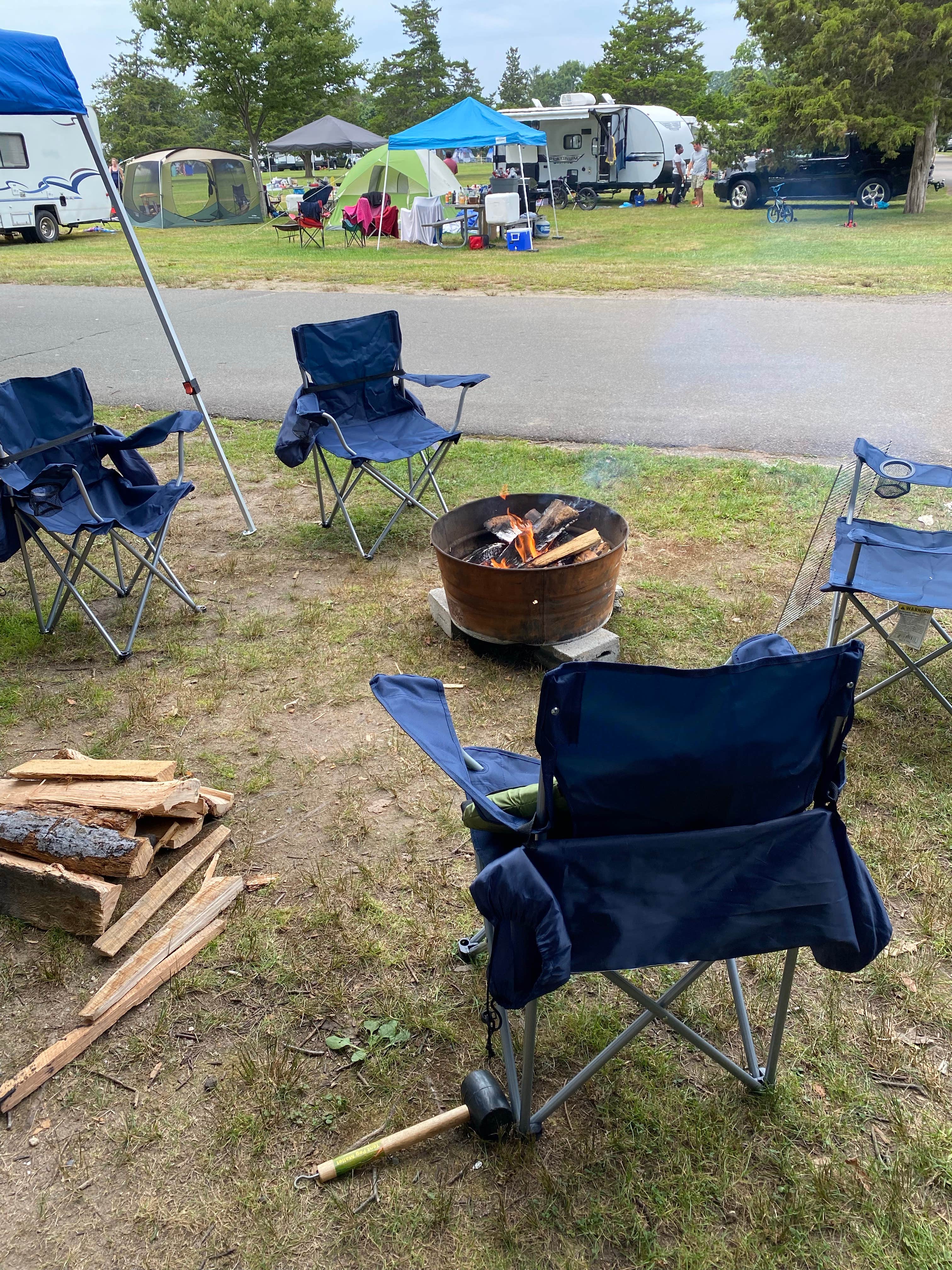 are dogs allowed at hammonasset campground