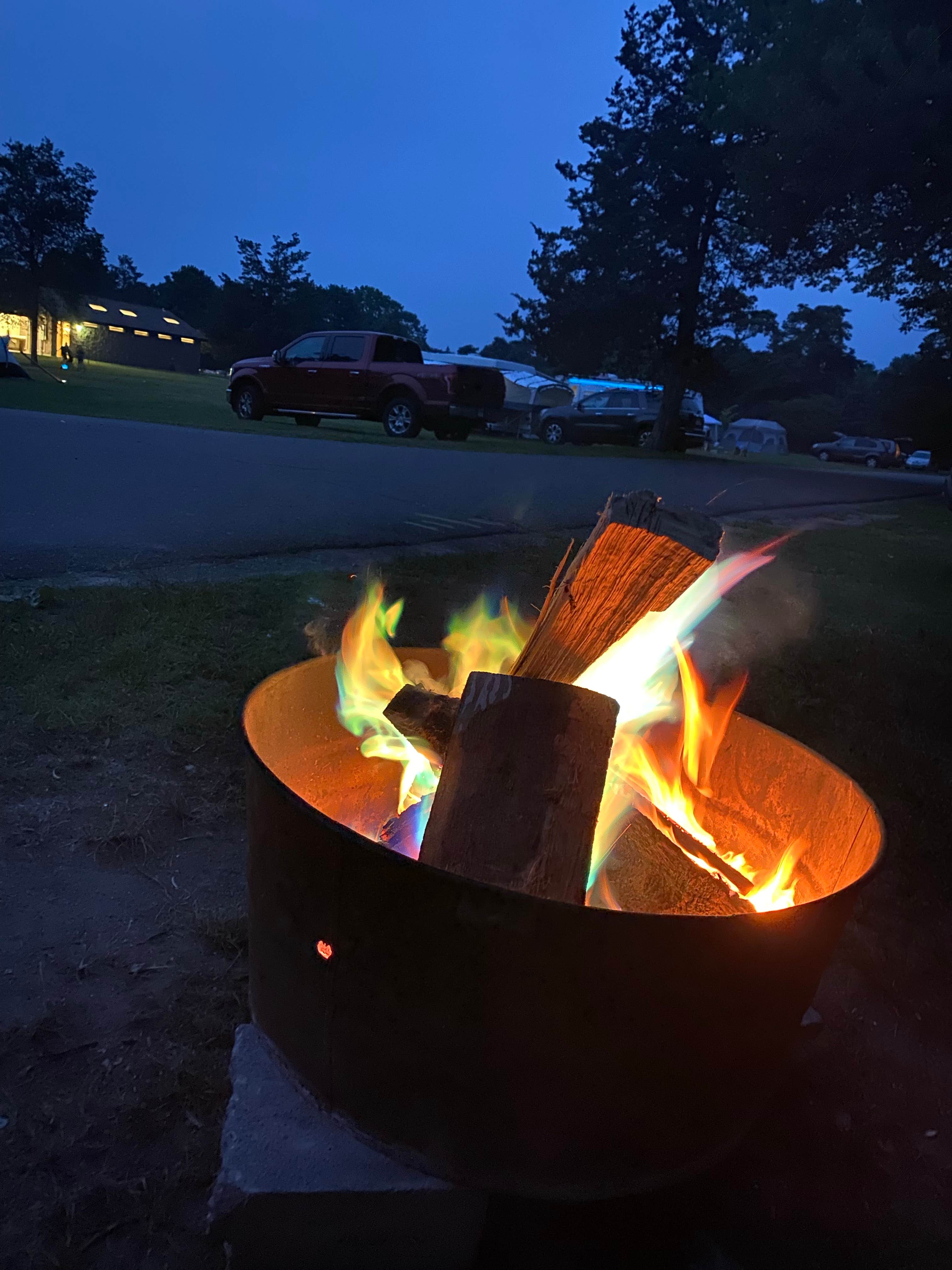 are dogs allowed at hammonasset campground