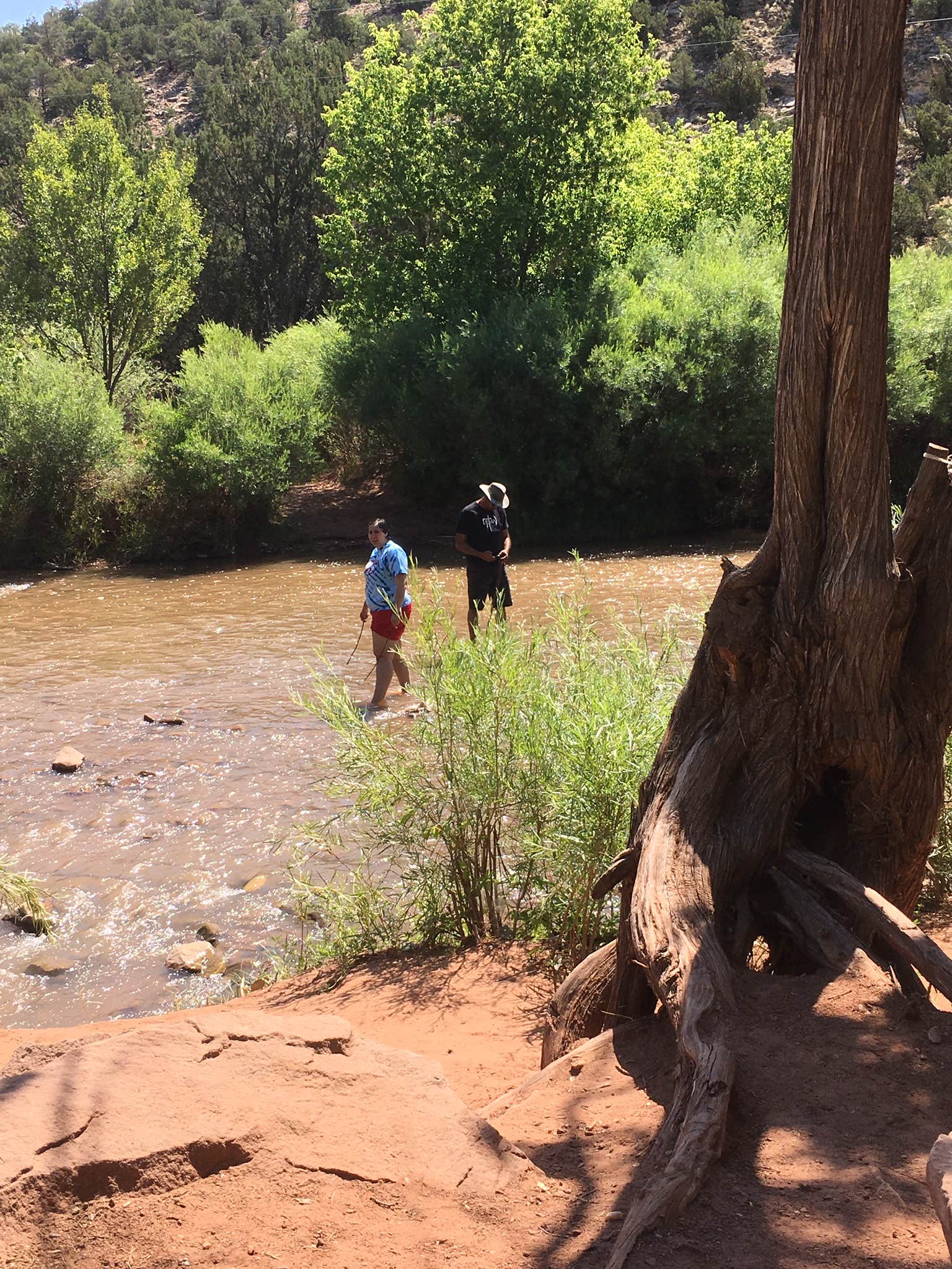 Camper submitted image from Villanueva State Park Campground - 1