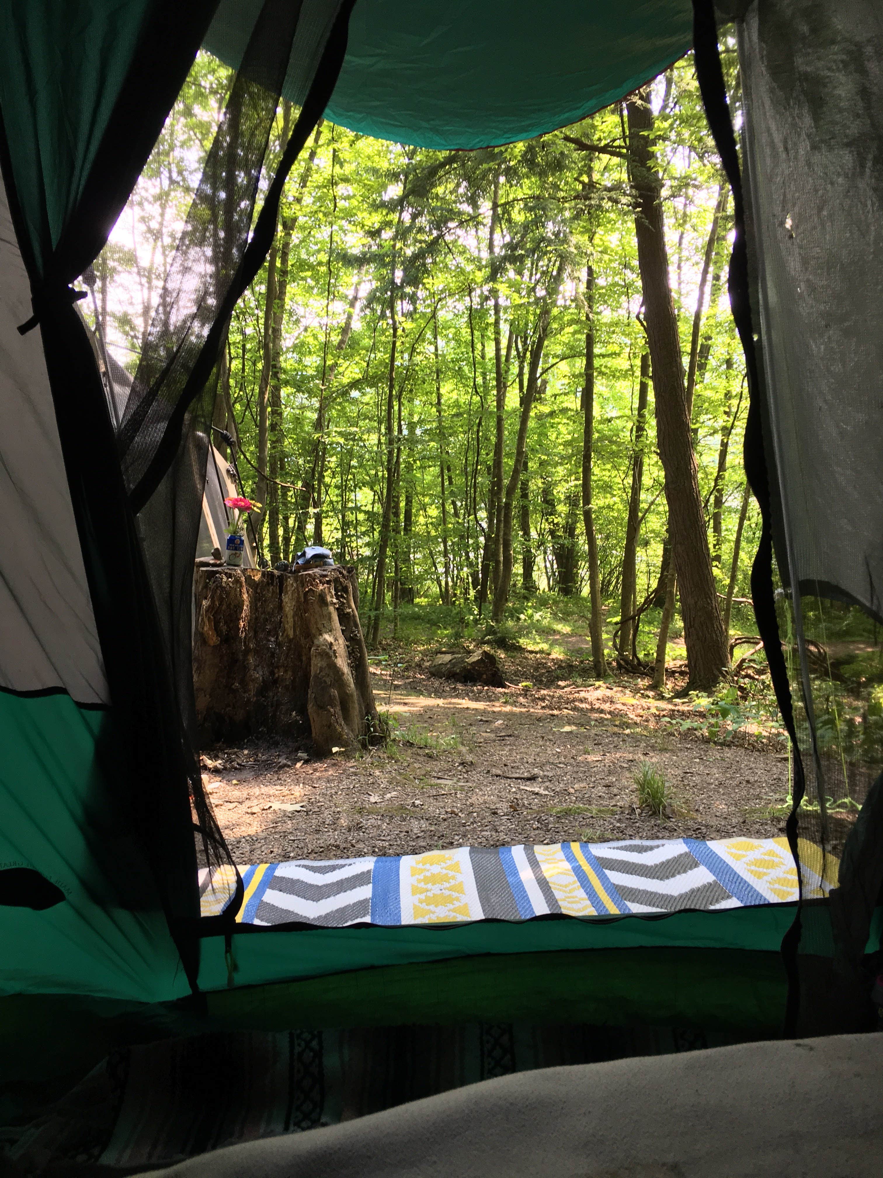 Denise D.'s photo at Dewdrop near Kane, PA