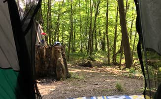 Denise D.'s photo at Dewdrop near Limestone, NY