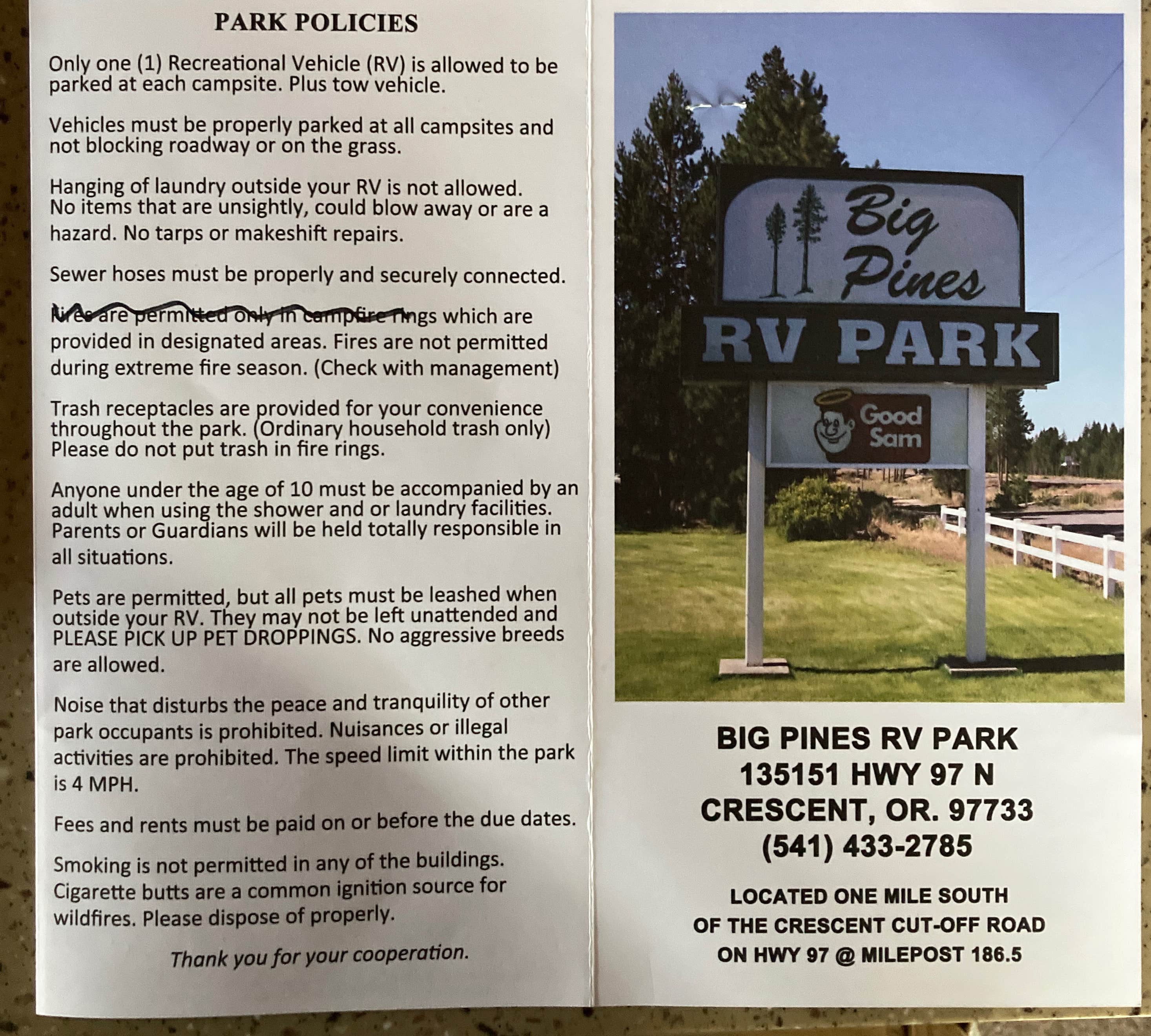 Camper submitted image from Big Pines RV Park - 5