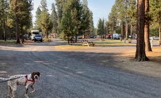 MickandKarla W.'s photo of camping with pets at Big Pines RV Park near Chemult, OR