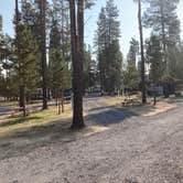 Review photo of Big Pines RV Park by MickandKarla W., August 15, 2021