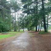 Review photo of Otsego Lake State Park Campground by Clint , August 15, 2021