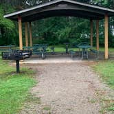 Review photo of Otsego Lake State Park Campground by Clint , August 15, 2021