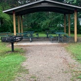 Review photo of Otsego Lake State Park Campground by Clint , August 15, 2021