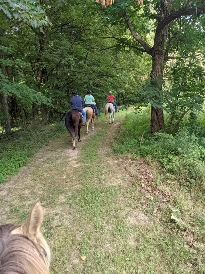 Camper-submitted photo at Long Acres on Clover Creek near Saxton, PA