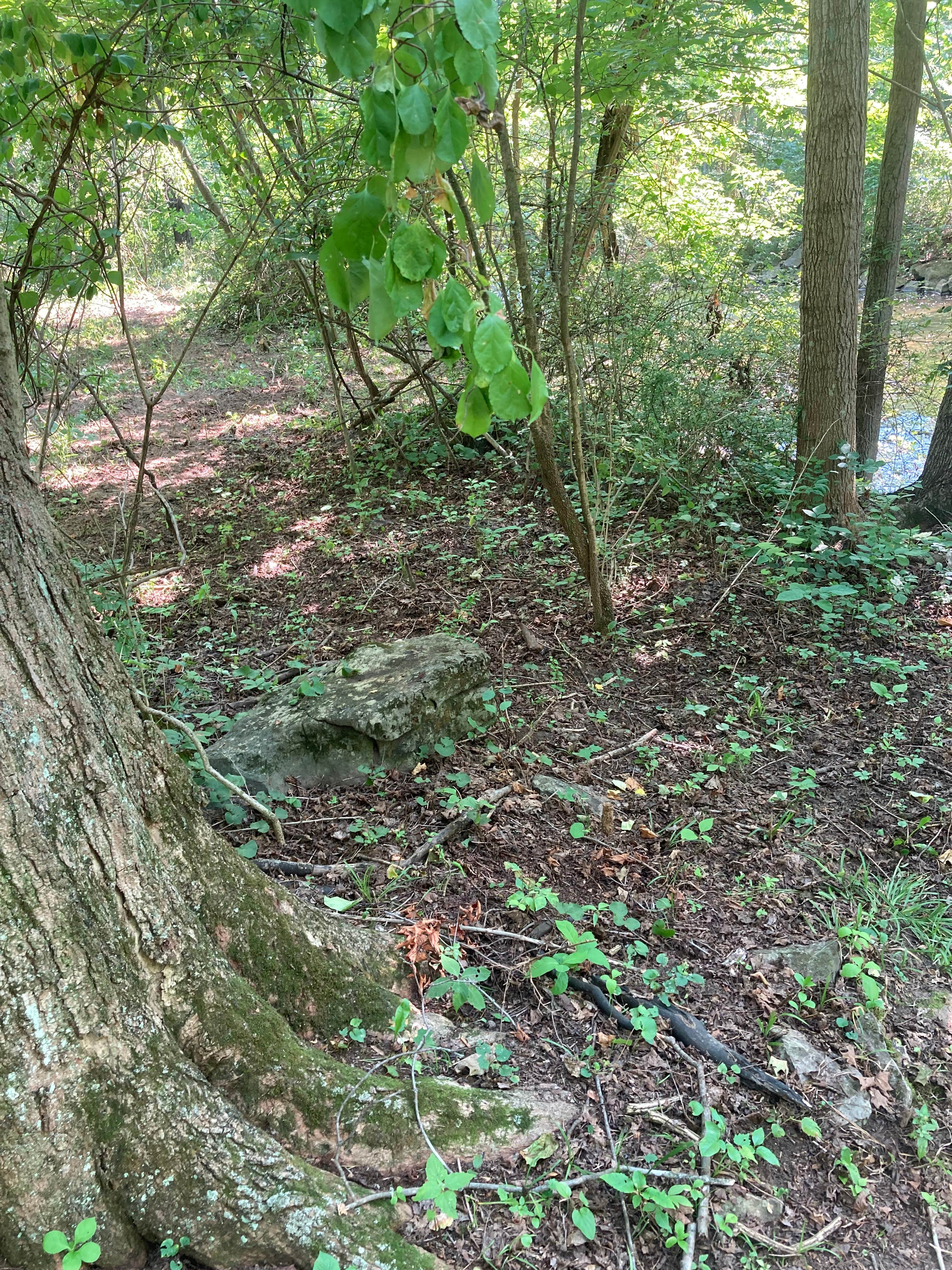 Camper-submitted photo at Long Acres on Clover Creek near Newburg, PA