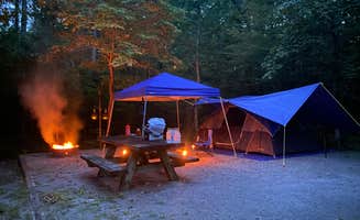 Tia M.'s photo at Chilhowee Recreation Area near Etowah, TN