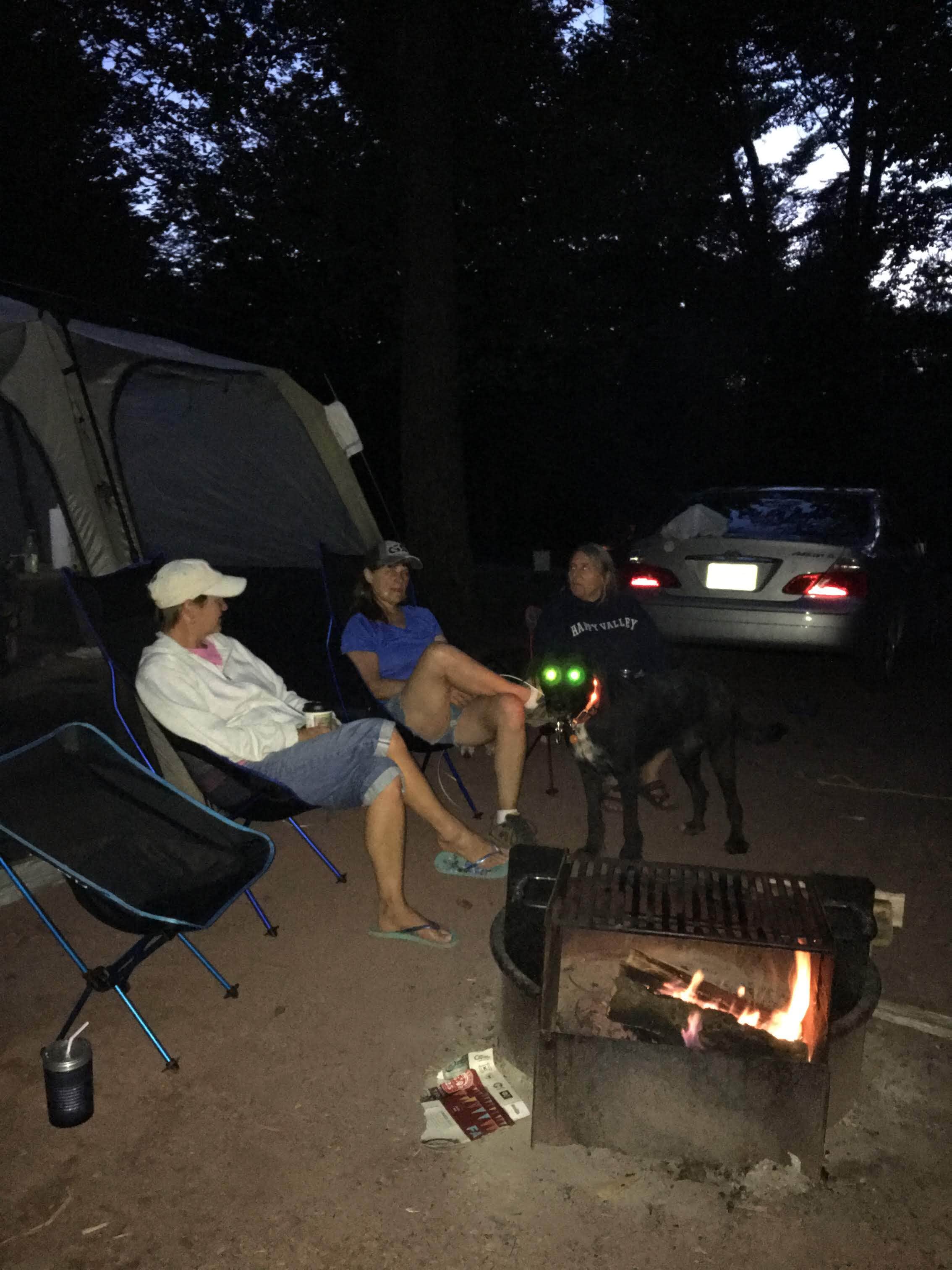 Camper submitted image from Ricketts Glen State Park Campground - 4