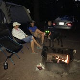 Review photo of Ricketts Glen State Park Campground by Denise D., June 19, 2018