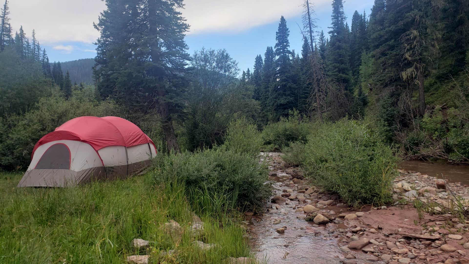 Wally B.'s photo at Hermosa Creek Trailhead - Dispersed Camping near Rico, CO