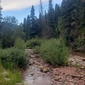 Review photo of Hermosa Creek Trailhead - Dispersed Camping by Wally B., August 15, 2021