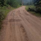 Review photo of Hermosa Creek Trailhead - Dispersed Camping by Wally B., August 15, 2021