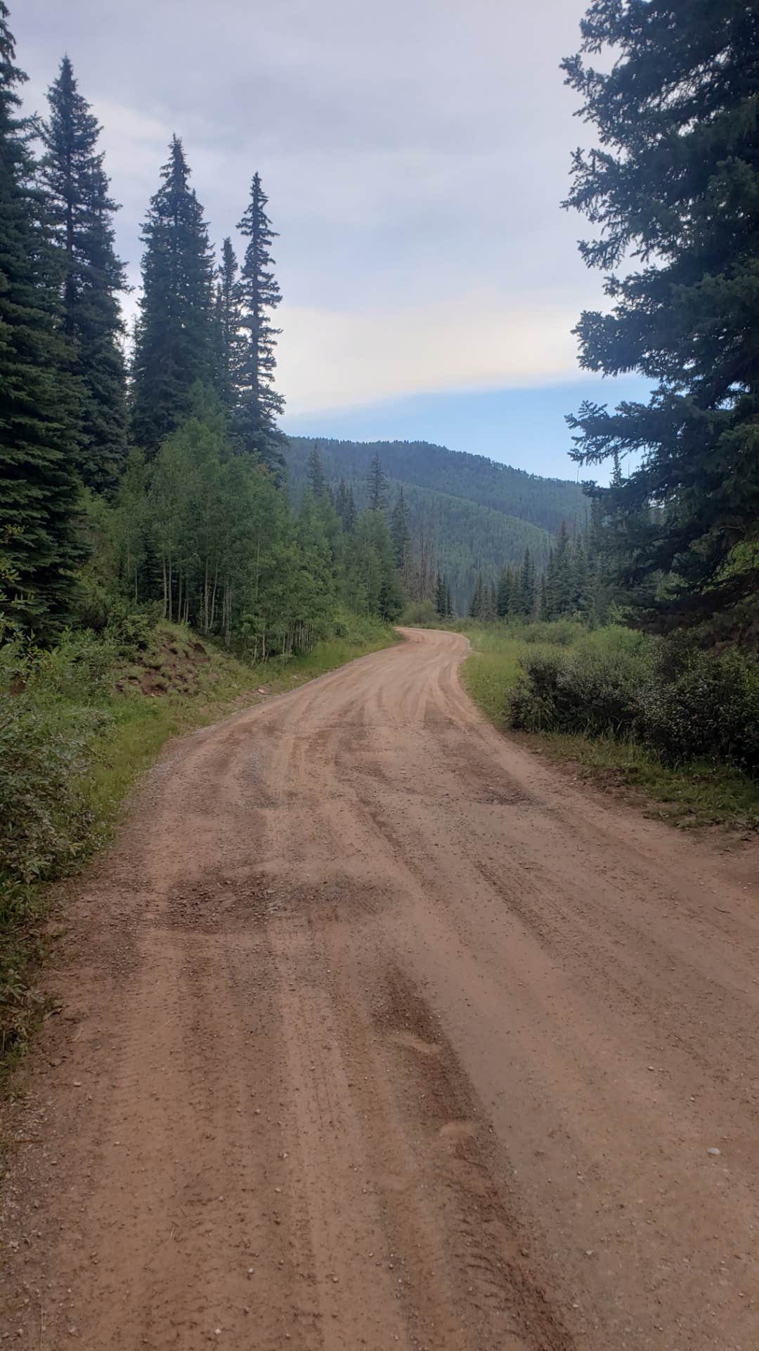 Camper submitted image from Hermosa Creek Trailhead - Dispersed Camping - 3