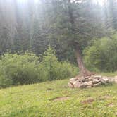 Review photo of Hermosa Creek Trailhead - Dispersed Camping by Wally B., August 15, 2021