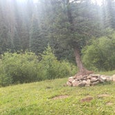 Review photo of Hermosa Creek Trailhead - Dispersed Camping by Wally B., August 15, 2021